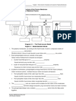 WORKSHEET 3.2 The Structure of The Plasma Membrane