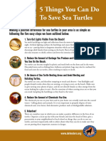 Five Things You Can Do To Save Sea Turtles PDF