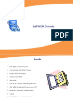 Sap MDM - Console