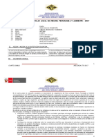 Programación Curricular Anual de Ciencia Tecnologia y Ambiente - 2017