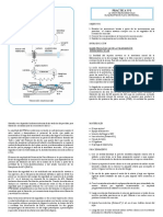 Práctica #1 de Laboratorio Fisiología Neuromuscular y de Los Sistemas Sensoriales 2016