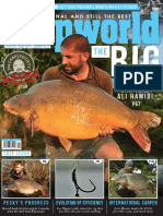 Carpworld