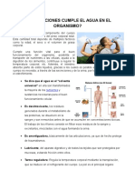 Qué Funciones Cumple El Agua en El Organismo