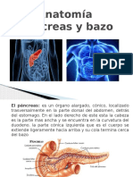 Presentacion Pancreas y Bazo Final