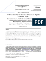 Molecular Survey of Babesia Infection in Dogs in Okinawa, Japan 2004 Veterinary Parasitology