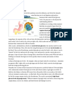 Anatomy of The Pancreas: Regulate Blood Glucose - The Fuel That