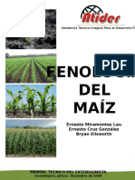 Fenologia Del Maiz