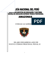 Silabo Desarrollado de Nuevo Código Procesal Penal II