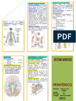 Triptico Sistema Nervioso