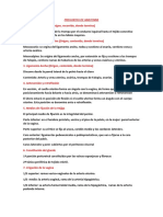 Preguntas de Anatomia Renal