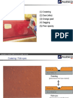 Paint Defects 1: (1) Cratering (2) Dust (Nibs) (3) Orange Peel (4) Sagging (5) Poor Opacity