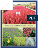 Perennials & Ornamental Grasses - Leo Gentry Nursery