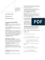 Common Barnchial Arch: Pulmocutaneous Arch:: Artery