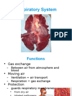 Respiratory System: - Chapter 23