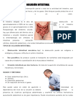 Oclucion Intestinal