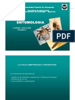 Entomologia - II Unidad. Clase Hemiptera