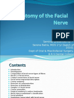 Anatomy of The Facial Nerve