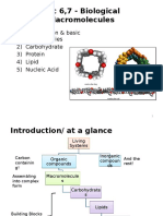 Lec 6,7 Biological Macromolecules