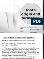 Tooth Origin and Formation - by Bugnariu Paul, Buterchi Codrut, Chit-Stinean Adonis