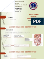 Abdomen Agudo Obstructivo