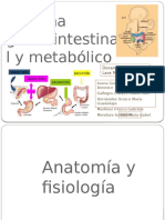 Sistema Gastrointestinal y Metabolico