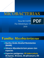 Micobacterias