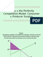 Producer and Consumer Surplus - Students