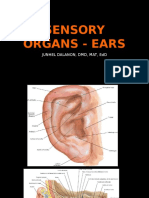 Sensory Organs - Ears