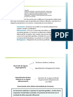 16.fisiologia Vegetal AUXINAS