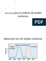 Técnicas Analisis DNA y RNA