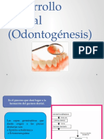 Odonto Genesis