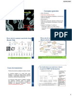 Mutación y Reparación COMOENDIO FINAL