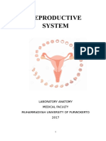 Modul of Reproductive System