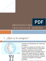 Preguntas y Respuestas Genética