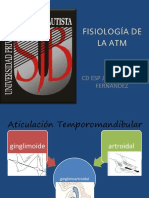 Articulacion Temporo Mandibular