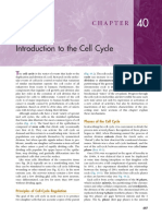 CH - 40 - Introduction To The Cell Cycle