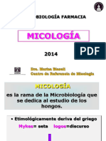 1 Clase-Estructura Fungica-2014 PDF