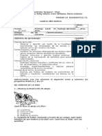 4º Diagnostico de Ciencias Naturales