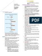 Vasoactive Peptides