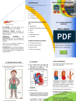 Triptico Sistema Circulatorio