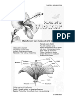 Plant Reproduction