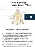 2 Human Body Nervous System