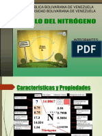 Ciclo Nitrogeno Exposicion