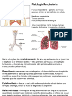 Sistema Respiratorio