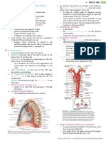 Posterior and Anterior Mediastinum