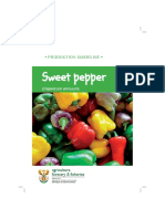 Sweet Pepper