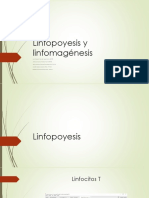 Linfopoyesis y Linfomatogenesis Completo