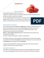 Cultiver Les Tomates en CI