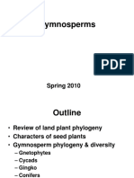 Gymnosperms