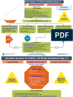 Neonatal Jaundice Pathway